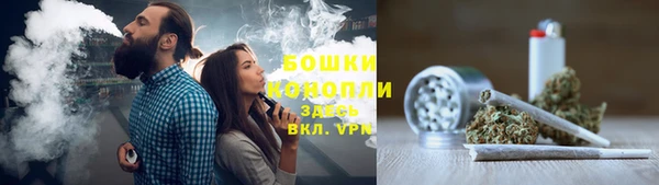 мдпв Мегион