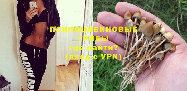 марки nbome Медвежьегорск