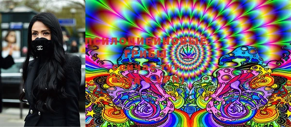 марки nbome Медвежьегорск
