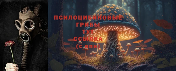 мдпв Мегион
