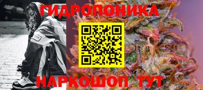 ECSTASY Гусев