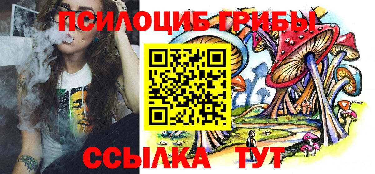 Галлюциногенные грибы Magic Shrooms Курчалой