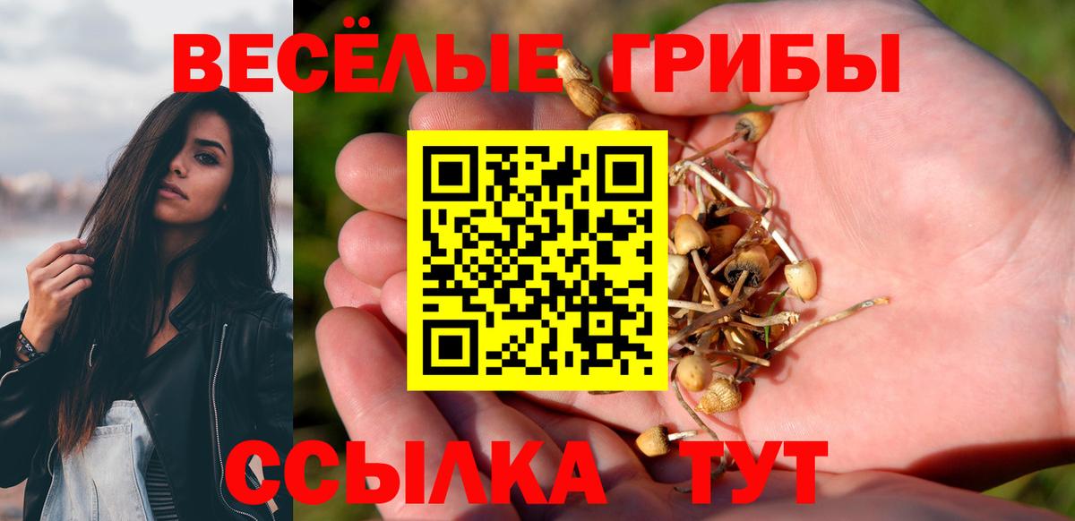 Псилоцибиновые грибы мухоморы  Вход с VPN  Курчалой  Галлюциногенные грибы Psilocybine cubensis 