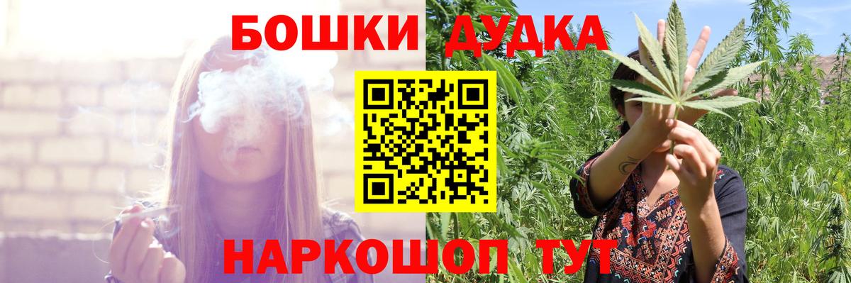 Конопля сатива Курчалой